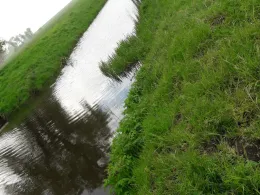 Haseldorfer & Hetlinger Binnenelbe-1