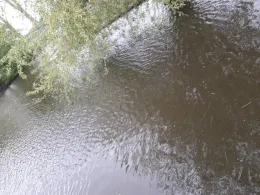 Haseldorfer & Hetlinger Binnenelbe