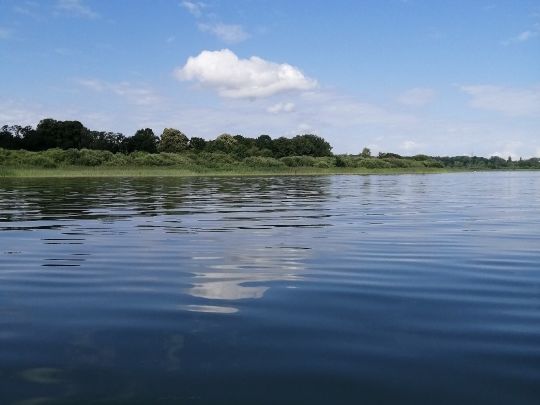 Malchower Stadtsee angeln
