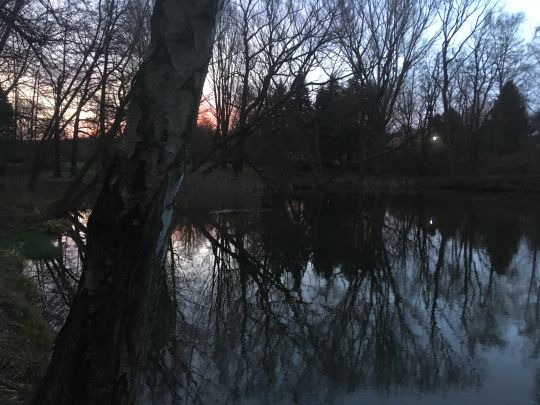 Burgteich Konradsburg-2