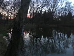 Burgteich Konradsburg-2