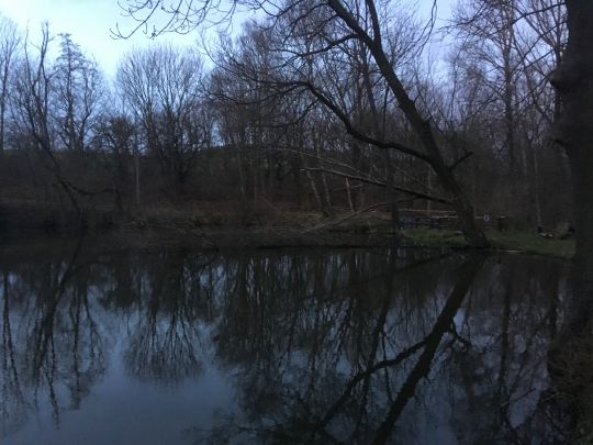 Burgteich Konradsburg-4