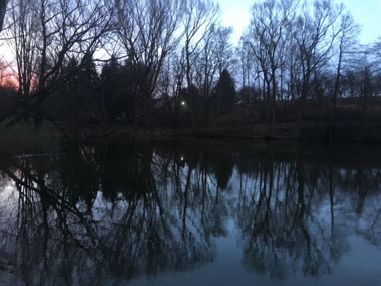 Burgteich Konradsburg-1