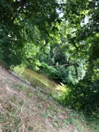 Zwickauer Mulde (Hartenstein)