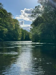 Zwickauer Mulde (Hartenstein)-1