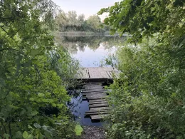 Fünfeichener Teiche