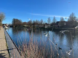 Elde (Plau am See)-4