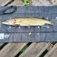 Elde (Plau am See)-1