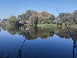 Schwänchenteich (Frankfurt/Oder)-1