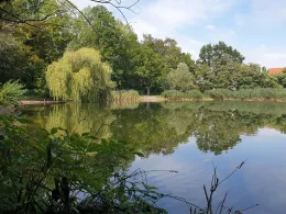 Schwänchenteich (Frankfurt/Oder)-3