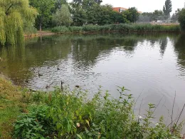 Schwänchenteich (Frankfurt/Oder)-2