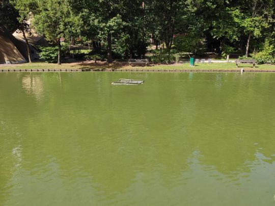 Landal De Lommbergen-1