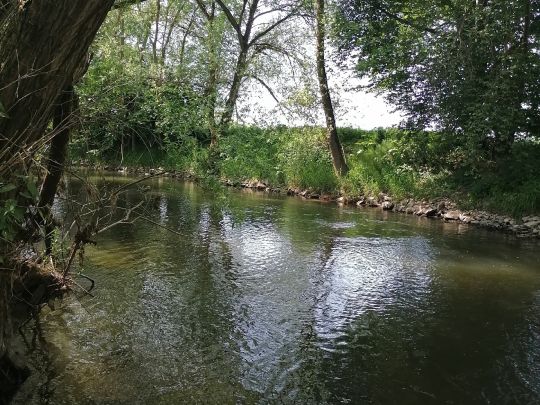 Altwasser am Main (Kulmbach)