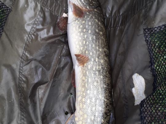 Kermisdahl (Kleve)-1