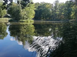 Kellerbuschteiche (Lindstedt)