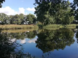 Kellerbuschteiche (Lindstedt)-1