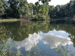 Kellerbuschteiche (Lindstedt)-2