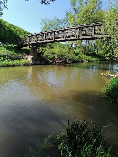 Fränkische Saale (Gräfendorf)-1