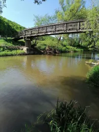 Fränkische Saale (Gräfendorf)-1