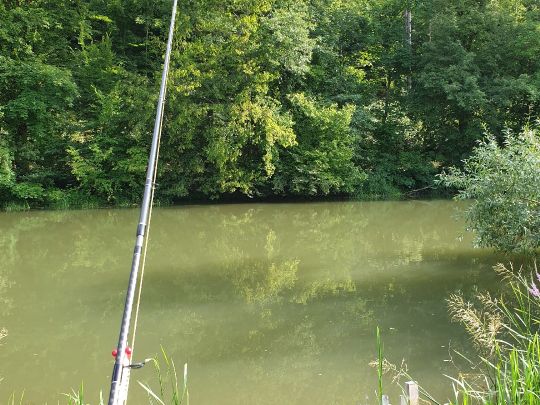 Fränkische Saale (Gräfendorf)-2