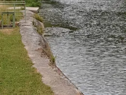 Fränkische Saale (Gräfendorf)