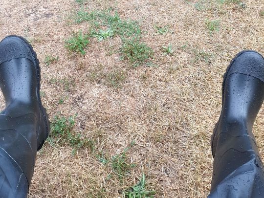 Fränkische Saale (Gräfendorf)-3