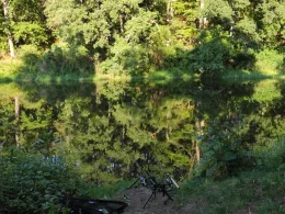 Naab (Luhe-Wildenau)-3