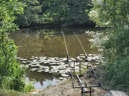 Naab (Luhe-Wildenau)-1