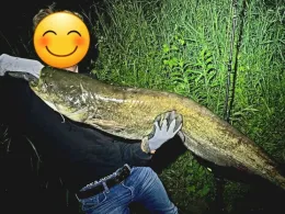 Blies (Sitterswald)-3