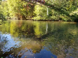 Blies (Sitterswald)-2