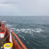 Nordsee (Den Haag)-2