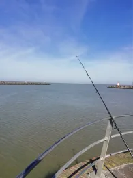 Nordsee (Den Haag)-3