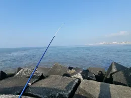 Nordsee (Den Haag)-1