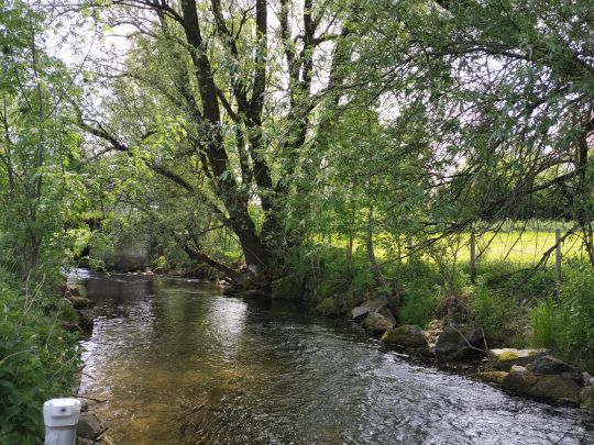 Kirnach (Ruderatshofen)-2