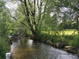 Kirnach (Ruderatshofen)-2