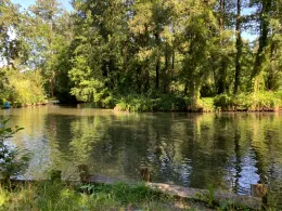 Spreewaldfließgewässer (FG Lübbenau)-1