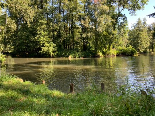 Spreewaldfließgewässer (FG Lübbenau)-2