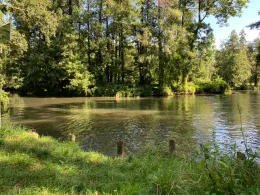 Spreewaldfließgewässer (FG Lübbenau)-2