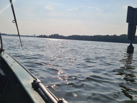 Ruppiner See