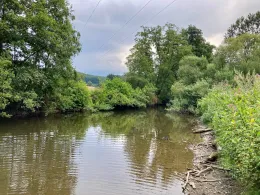 Wied (Neustadt/Wied)-1