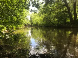 Wied (Neustadt/Wied)-2