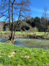 Wied (Neustadt/Wied)-3