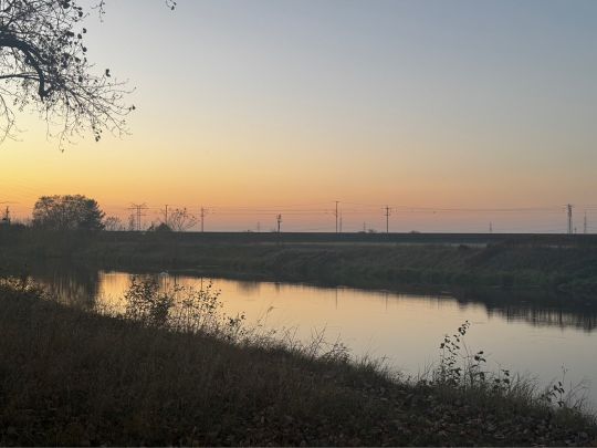 Havelkanal (Schönwalde)-4