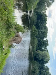 Kleiner Kliestower See (Frankfurt/Oder)-2