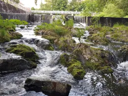 Oder (Bad Lauterberg/Harz)-1