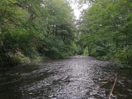 Oder (Bad Lauterberg/Harz)