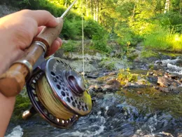 Oder (Bad Lauterberg/Harz)-2