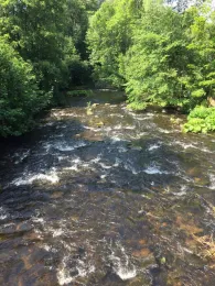 Oder (Bad Lauterberg/Harz)-3