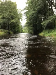 Oder (Bad Lauterberg/Harz)-4