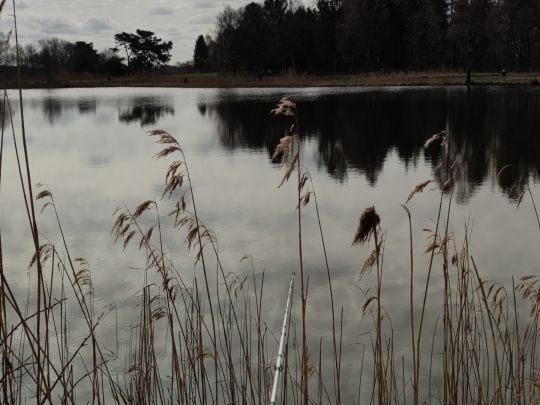 Fischzucht Knutzen-2